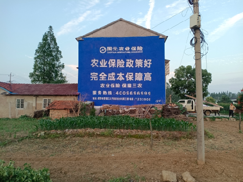 建宁墙体广告的优劣势你知道吗？